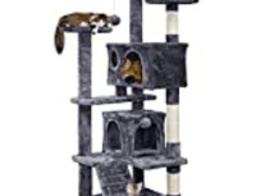 Top Cat Towers For 2023 | Best Cat Tree Tower